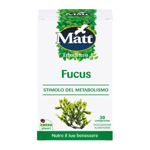 Matt-Fucus